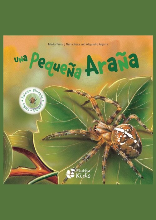 Una pequeña araña Una pequeña araña