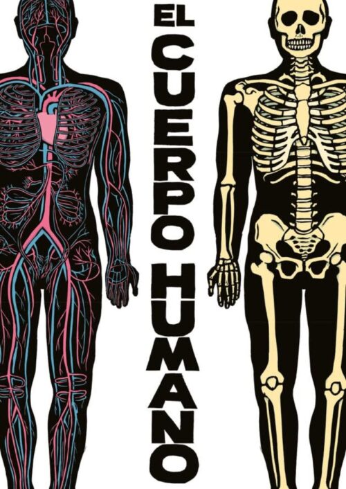 El cuerpo humano El cuerpo humano