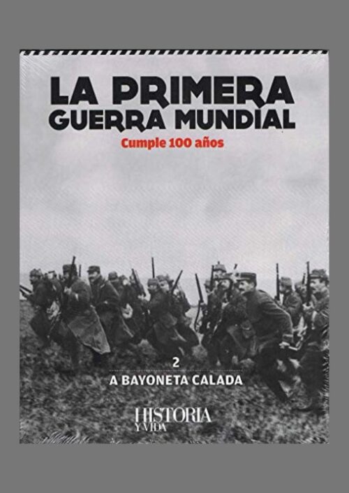 La Primera Guerra Mundial cumple 100 años