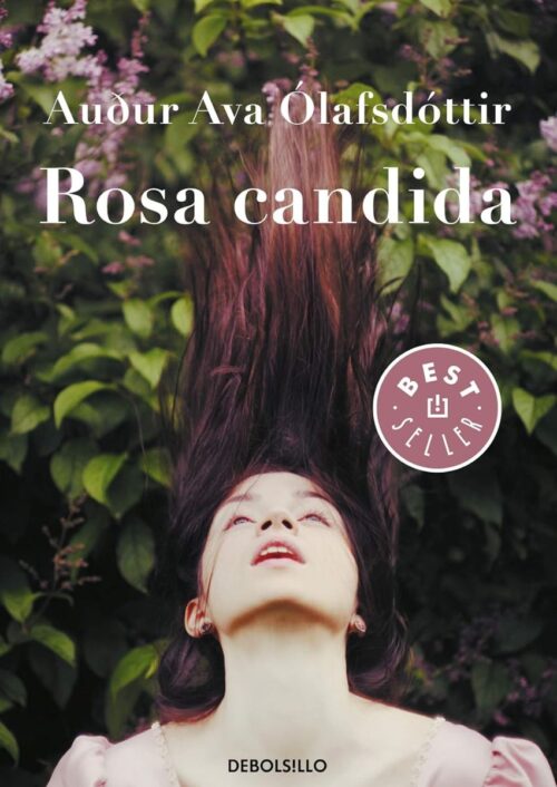 Rosa Candida