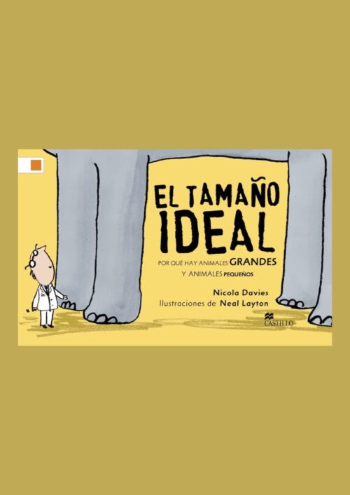 El tamaño ideal