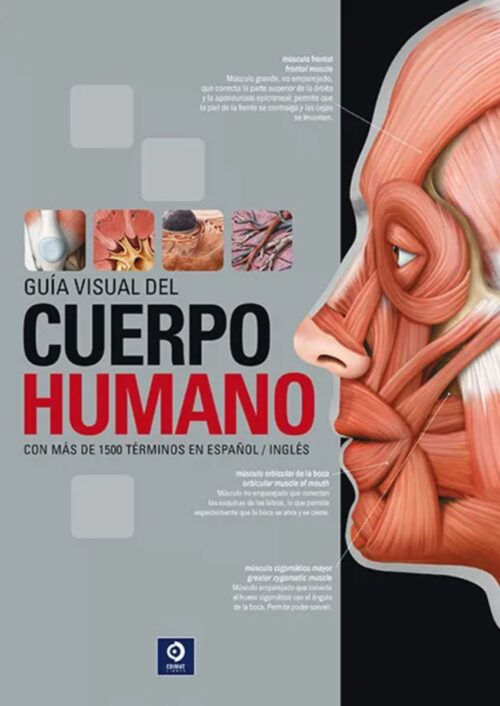 Guía Visual del Cuerpo Humano Guía Visual del Cuerpo Humano