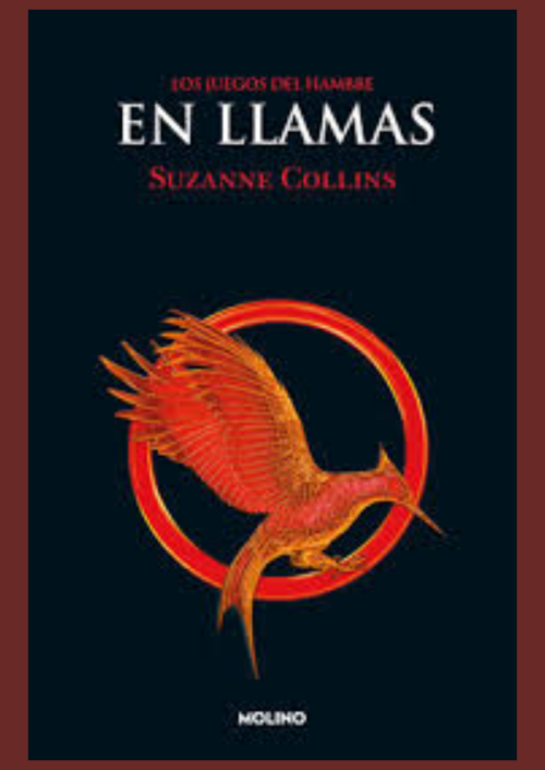 En llamas En llamas